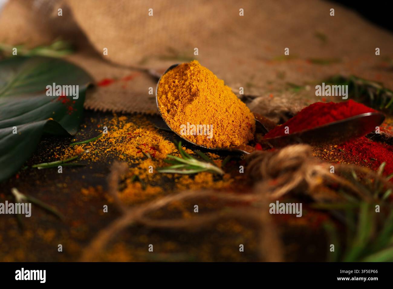 Aromatische Gewürze und Kräuter, die in der indischen Küche verwendet werden, elegant auf einem traditionellen Holztisch präsentiert Stockfoto