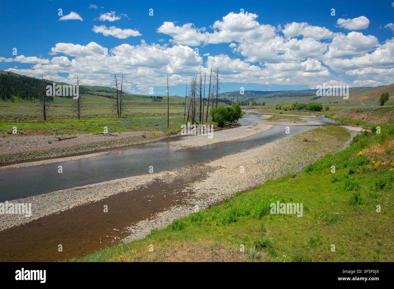 Lamar Valley, Yellowstone-Nationalpark, Wyoming Stockfoto