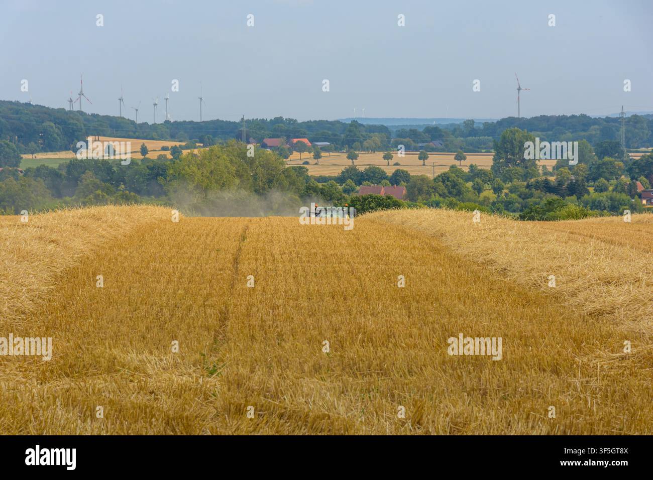 Traktor arbeitet in einem goldenen abgeernteten Feld mit Strohschwaden in Coesfeld, Deutschland Stockfoto