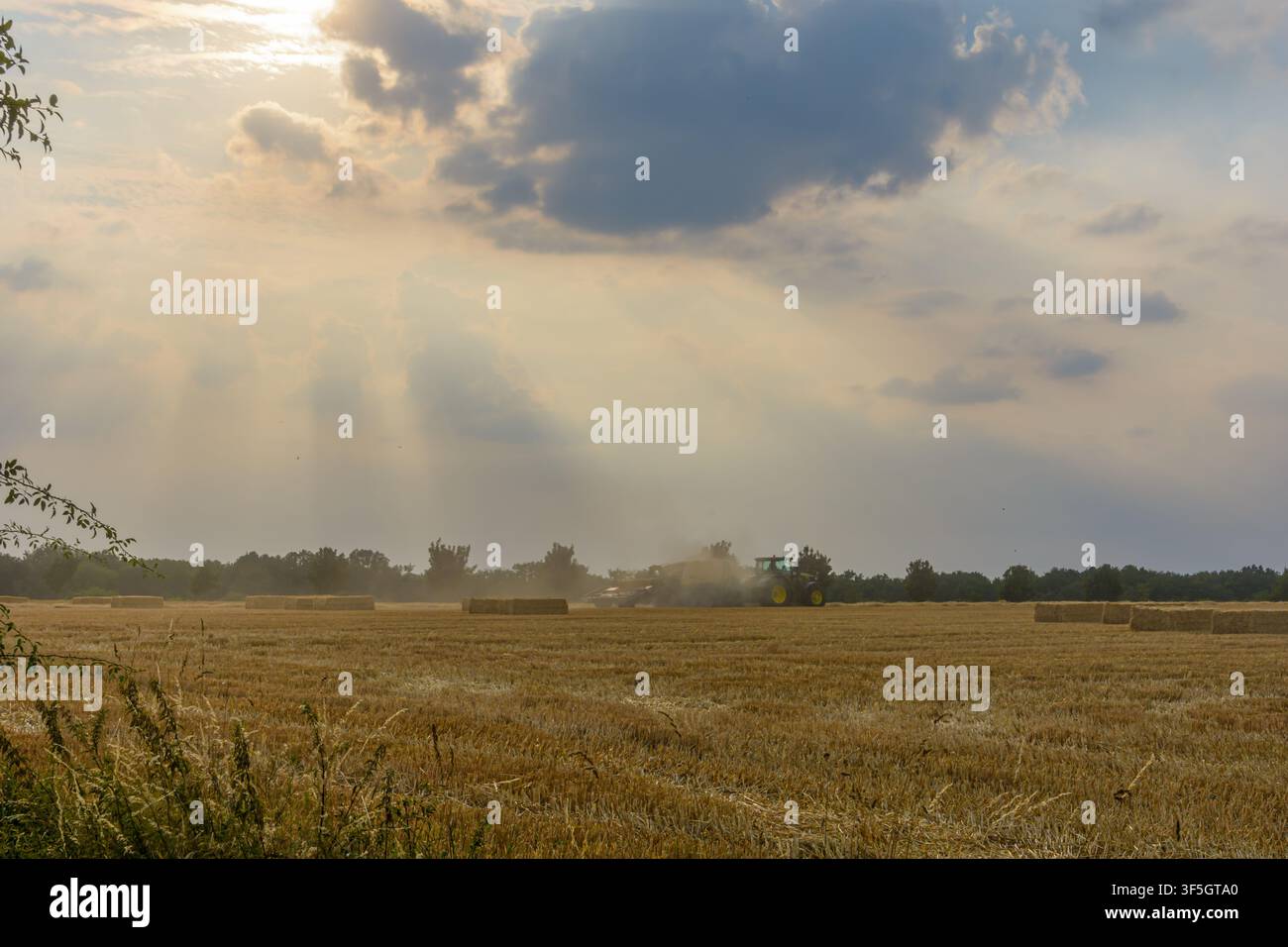 Traktor macht Heuballen in einem geernteten goldenen Feld unter Sonnenstrahlen in Coesfeld, Deutschland Stockfoto