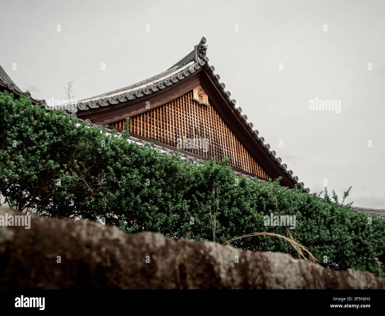 Traditionelles japanisches Tempeldach mit geschwungenen Ziegeln und hölzernem Giebel über Hecke und Steinmauer in Fushimi, Kyoto Stockfoto