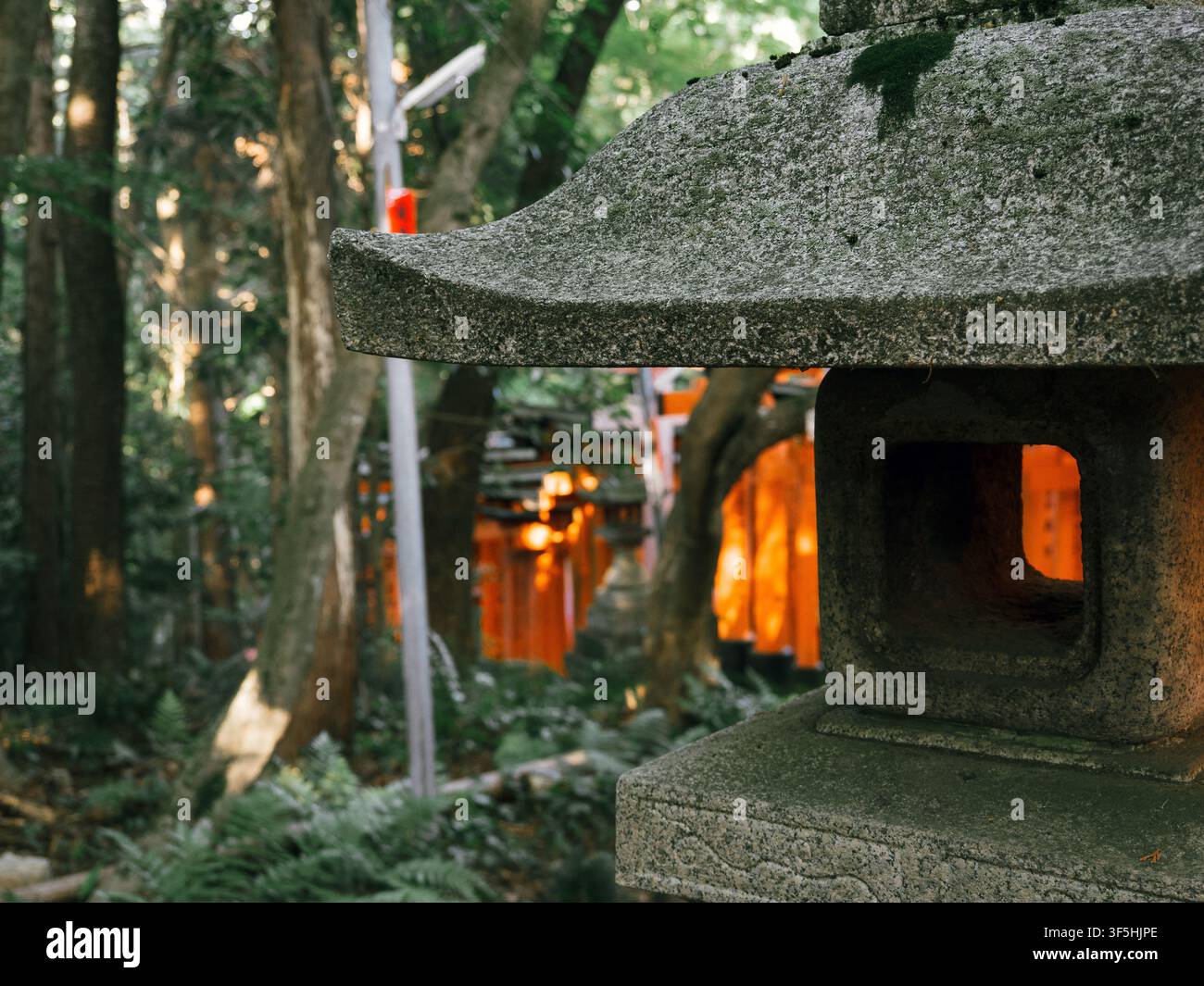 Steinerne Laterne mit orangefarbenen Torii-Toren im Hintergrund am Fushimi-Inari-Schrein in Kyoto, Japan Stockfoto