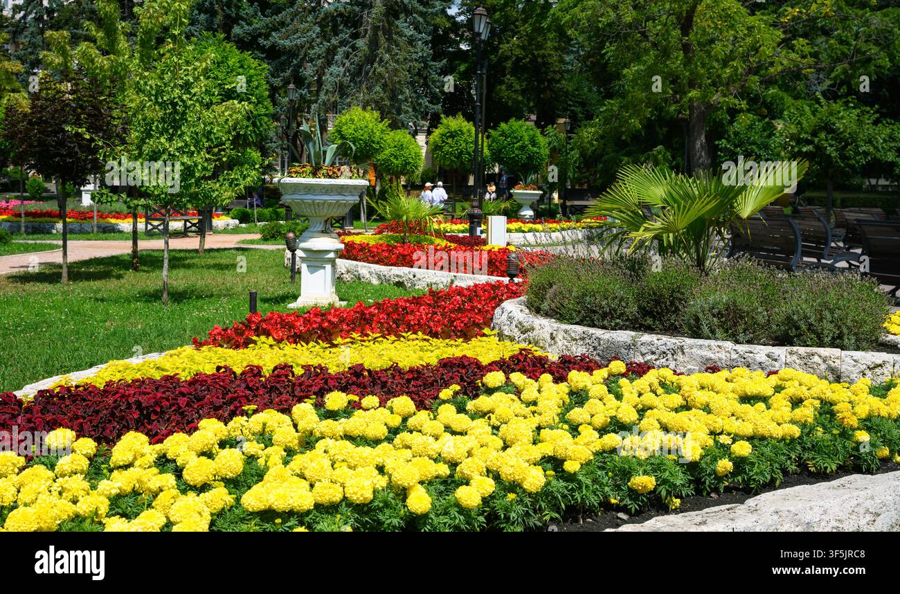 Ein heller, sonniger Tag in einem gestalteten öffentlichen Park mit lebendigen, mehrfarbigen Blumenbeeten. Der Vordergrund zeigt dichte Reihen gelber Ringelblumen, dar Stockfoto