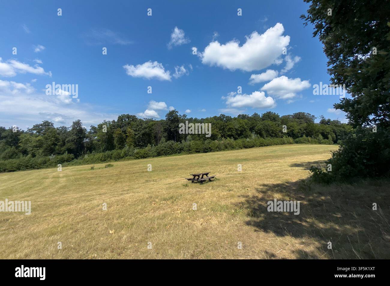 In dieser ruhigen Landschaft steht ein einsamer Holzpicknicktisch in einer sonnendurchfluteten Wiese und bietet Besuchern einen stillen, friedlichen Ort, um die Natur zu genießen Stockfoto