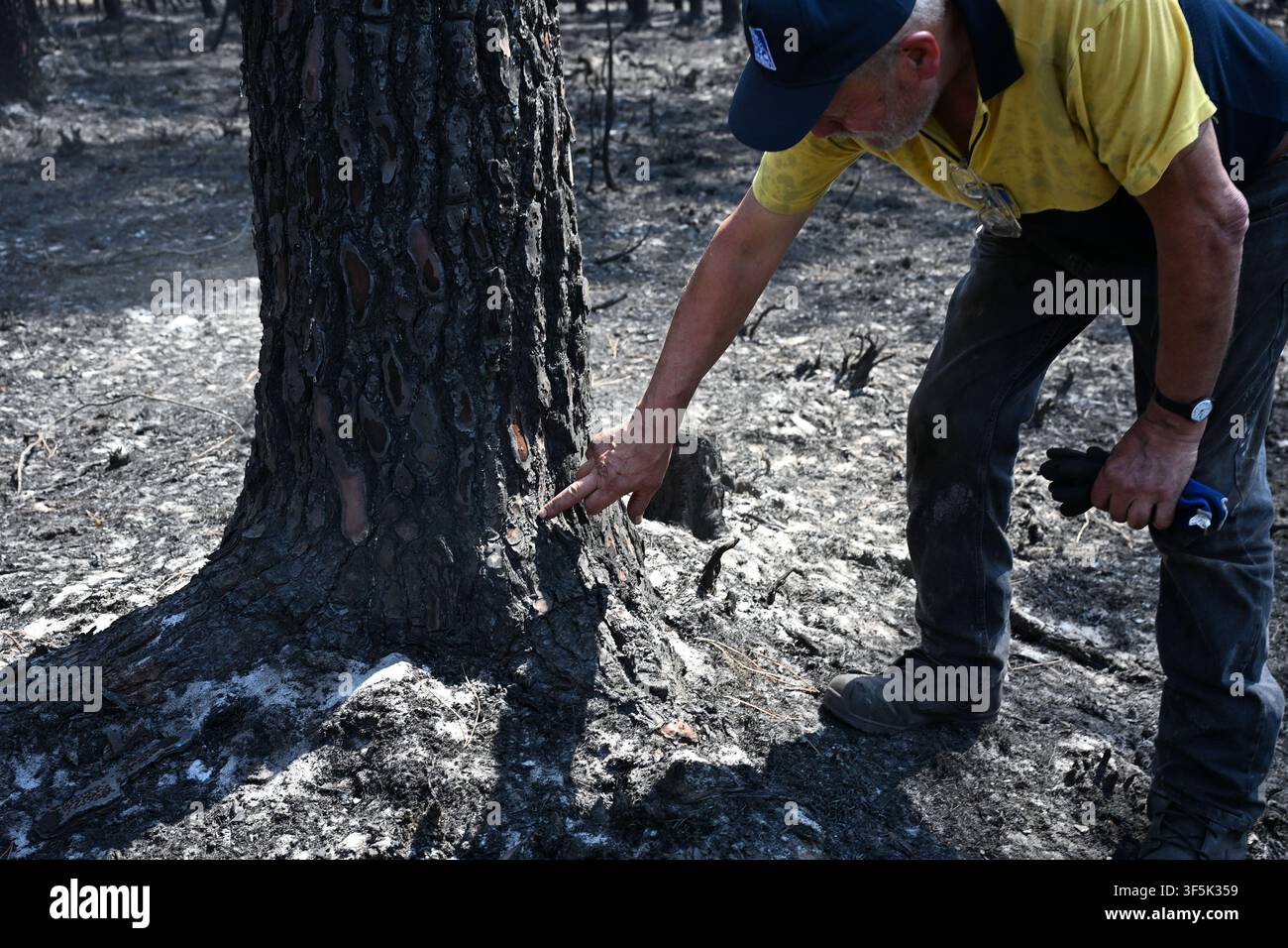 Lanton, Frankreich. 02. Aug., 2026. Didier Monchaux zeigt auf Harz an einem verbrannten Baum auf seinem Grundstück in Lanton, in der Region Gironde. Ein Großteil seines Waldes wurde durch die Waldbrände im Südwesten Frankreichs zerstört. Credit: Katharina Kausche/dpa/Alamy Live News Stockfoto