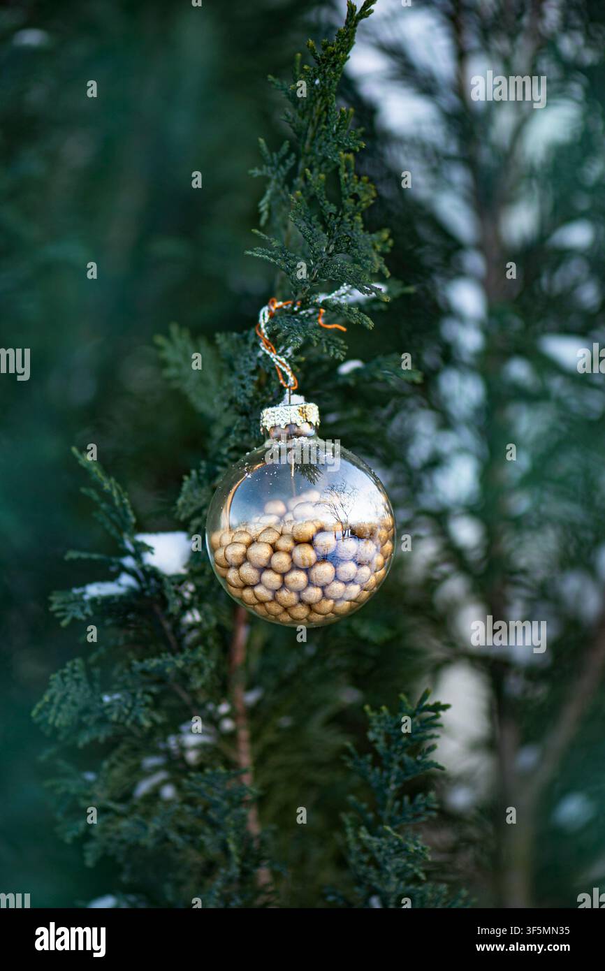 Kleine Kugeln mit goldenem Perlendesign, die dicht in der transparenten Kugel verpackt sind, sorgen für einen satten, warmen dekorativen Effekt in kühlem Schnee. Stockfoto