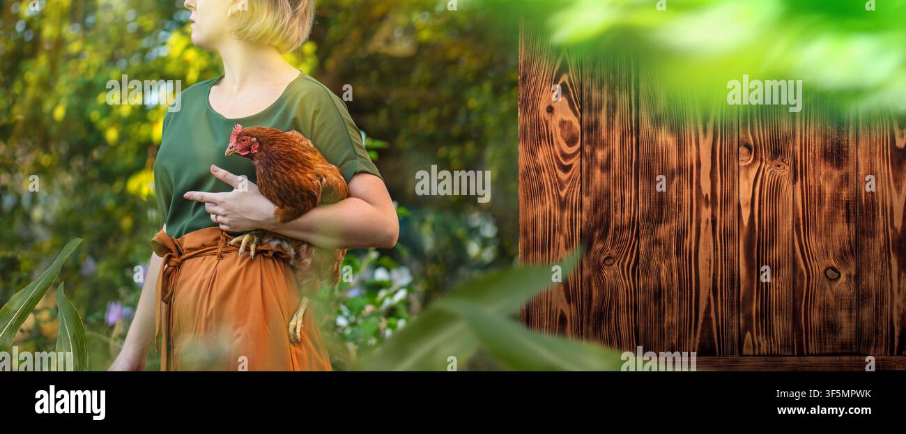 Freilaufhühner, ethische Landwirtschaft und Landleben repräsentieren die moderne nachhaltige Landwirtschaft. Frau hält eine Freilauf-Legehenne in der Nähe von chi Stockfoto