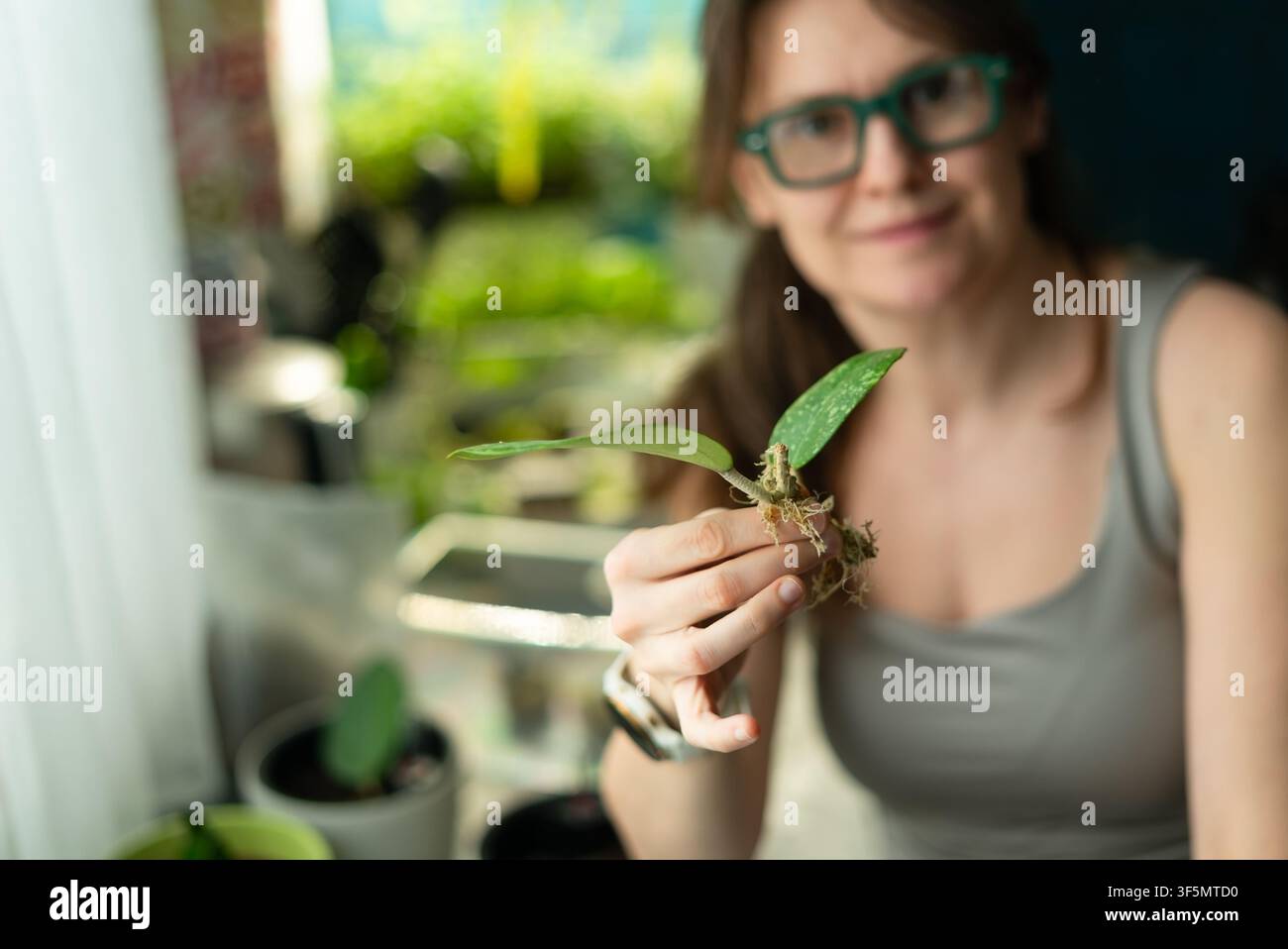Zarte Finger halten ein Blatt mit Laub im Nahaufnahme unter hellem natürlichem Licht und Bokeh. Sanfte Hände, die Pflanzen Grün berühren, zeigen achtsame Pflege für Naturdetails in einer ruhigen Gartenumgebung. Stockfoto