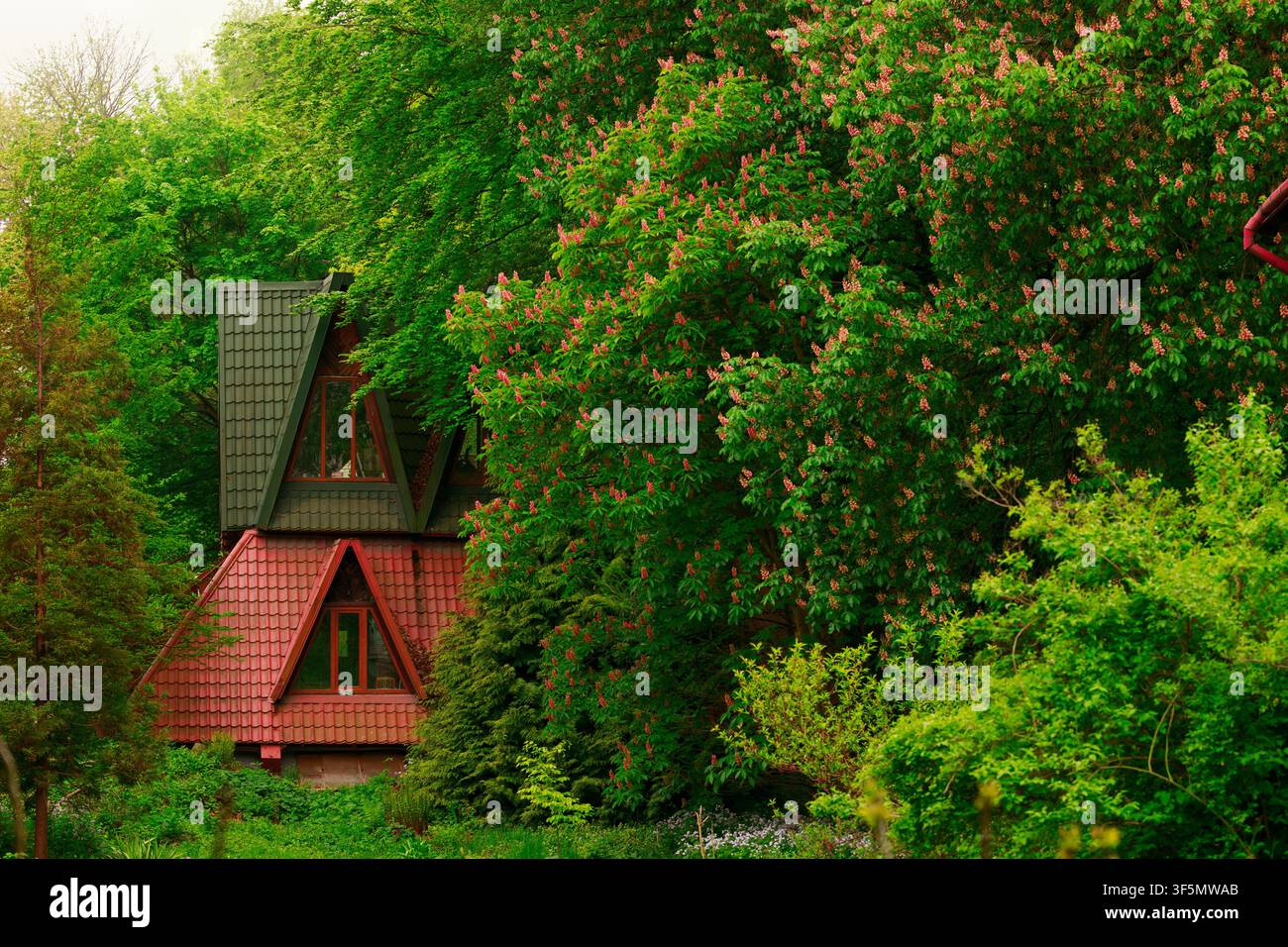 Gartenhütte-Kern-Ästhetik-Haus Dreieckhaus in grüner Vegetation Umgebung Raum Sonnenschein Frühlingsbeleuchtung im Waldland Stockfoto