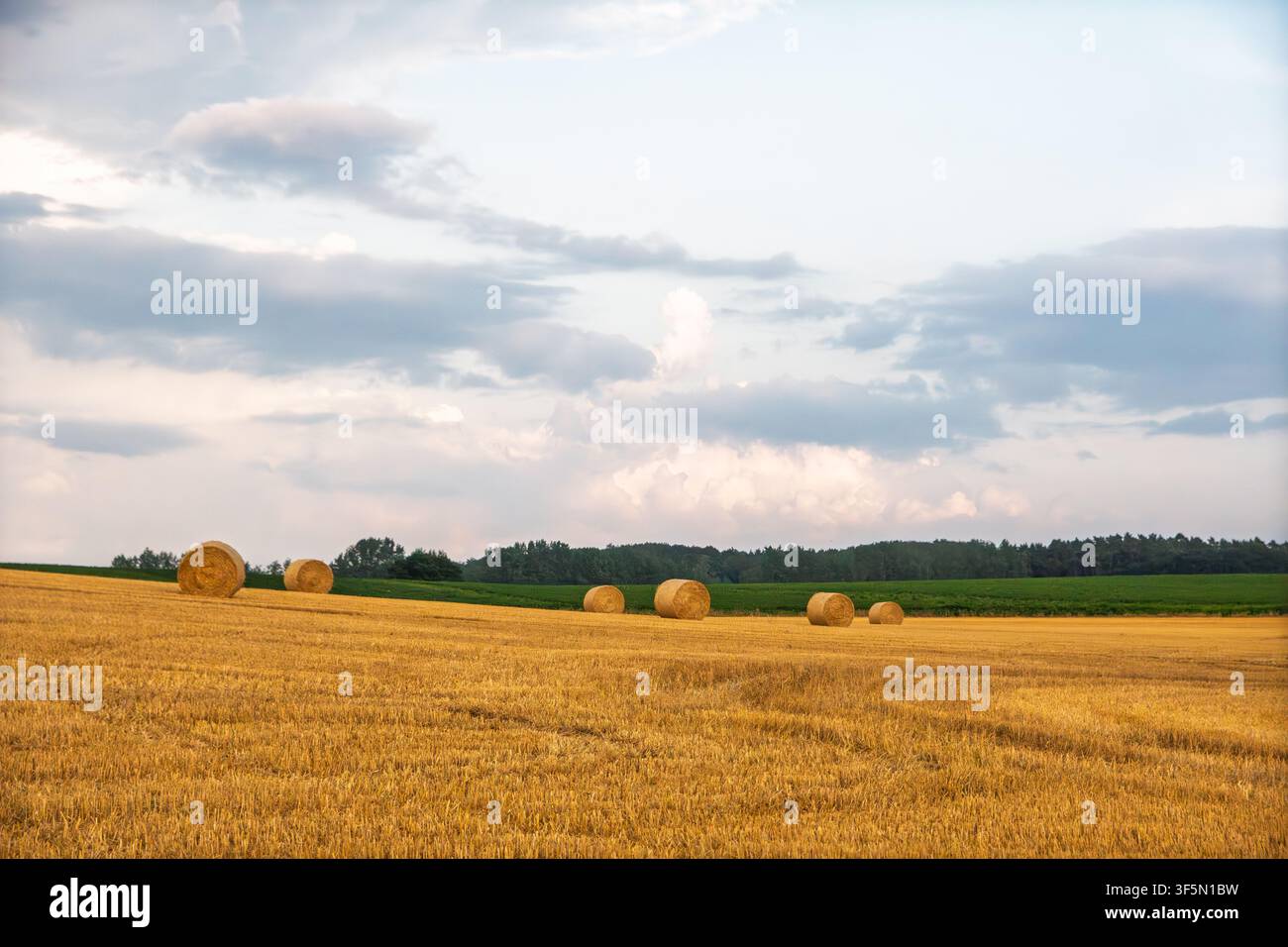 Runde Strohballen auf abgeerntetem Feld unter bewölktem Himmel Stockfoto