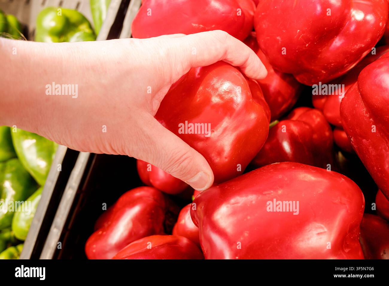 Hand, die eine reife rote Paprika aus einer Gemüsetheke auswählt Stockfoto
