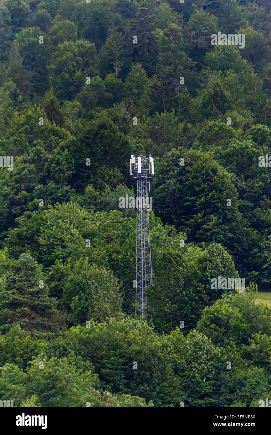 Telekommunikationsmast, umgeben von dichtem grünen Wald. Drahtlosnetz-Infrastruktur Stockfoto