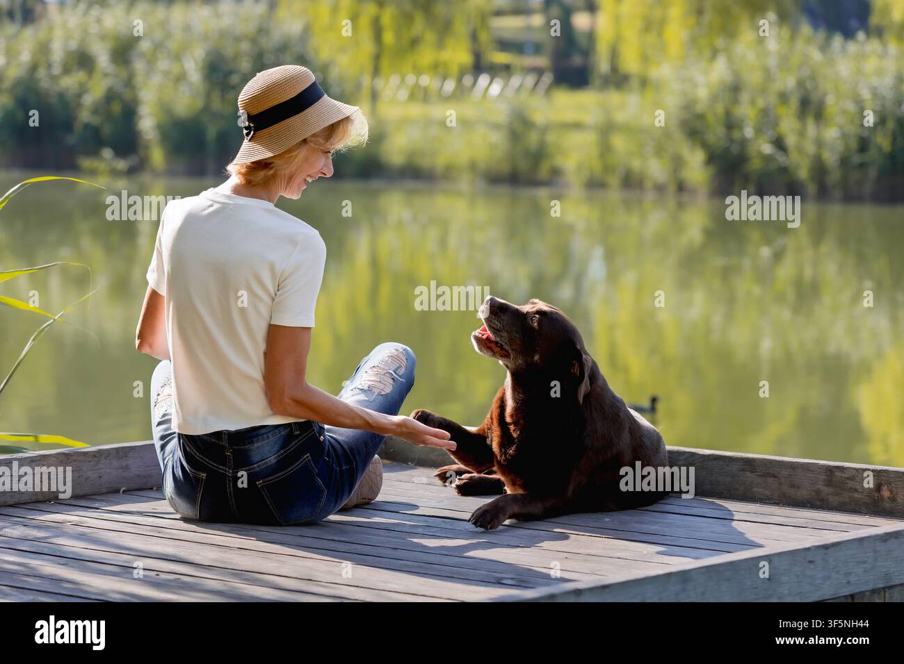 Frau, die in der Nähe des Parksees sitzt, erhält eine Pfote von einem glücklichen Hund. Warme Interaktion, Vertrauen, Freundschaft, Kameradschaft und emotionale Bindung zwischen Tierbesitzer Stockfoto
