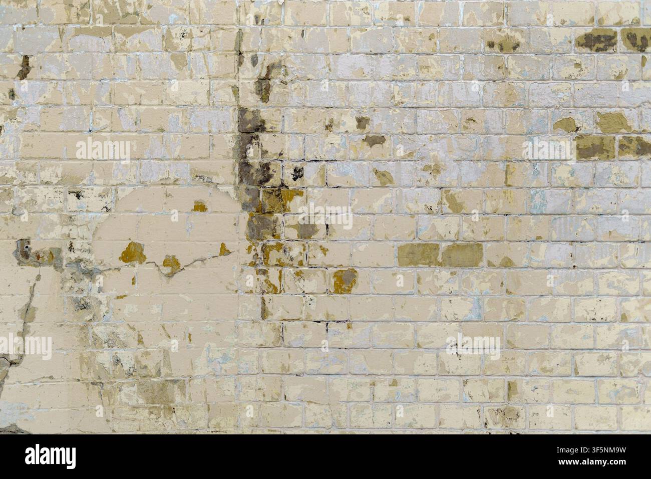 Ziegelwandhintergrund mit verfallendem beigen Putz und texturierten Mörtelflecken. Abgenutzte, verwitterte Mauerfläche mit gealterten architektonischen Details und indisch Stockfoto