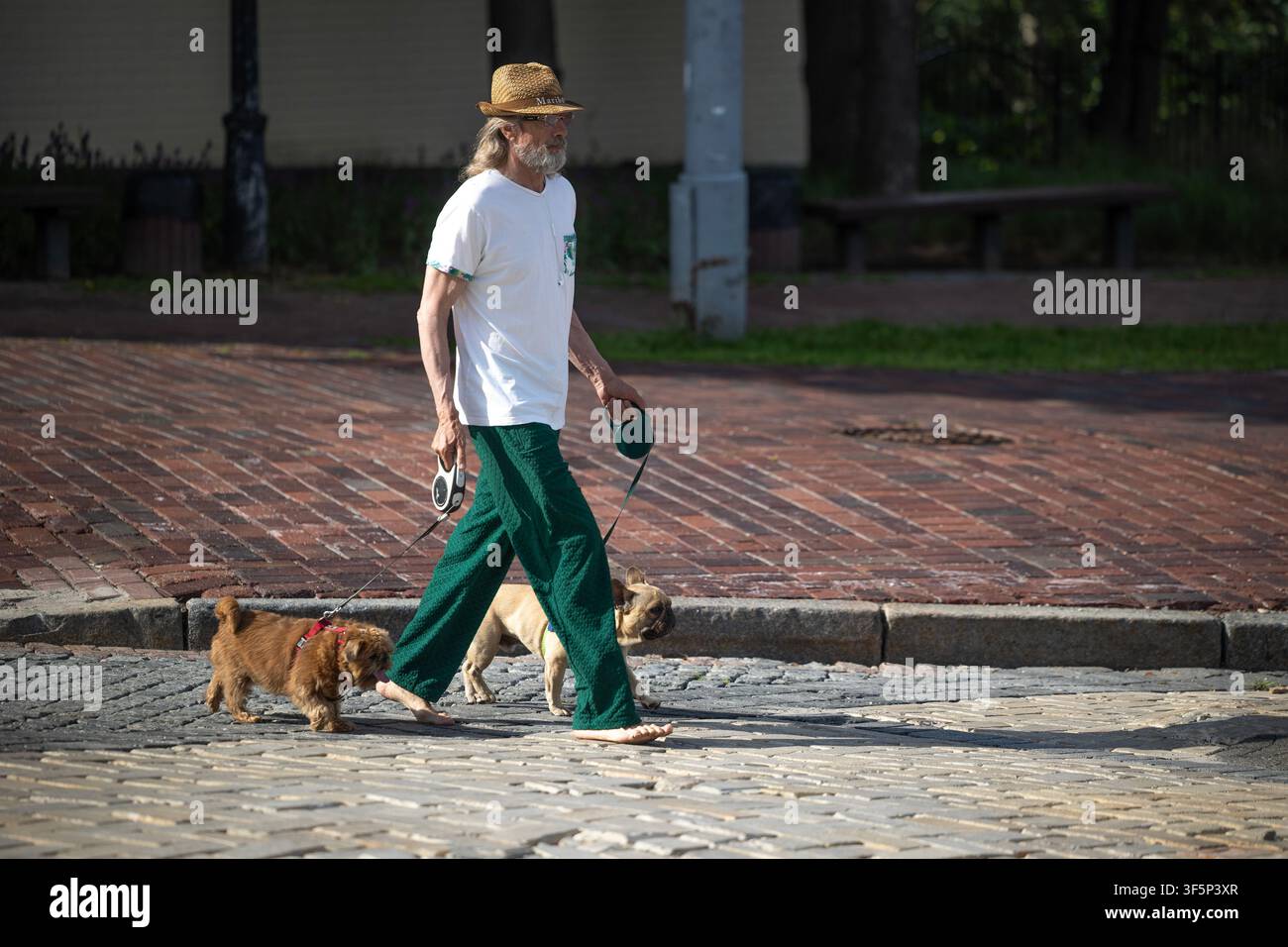 Kiew, Ukraine - 10. Jul 2026: Barfüßiger Mann mit Strohhut führt zwei Hunde an Leinen über den historischen Ziegelsteinpflasterweg des Mikhaylivska-Platzes Stockfoto