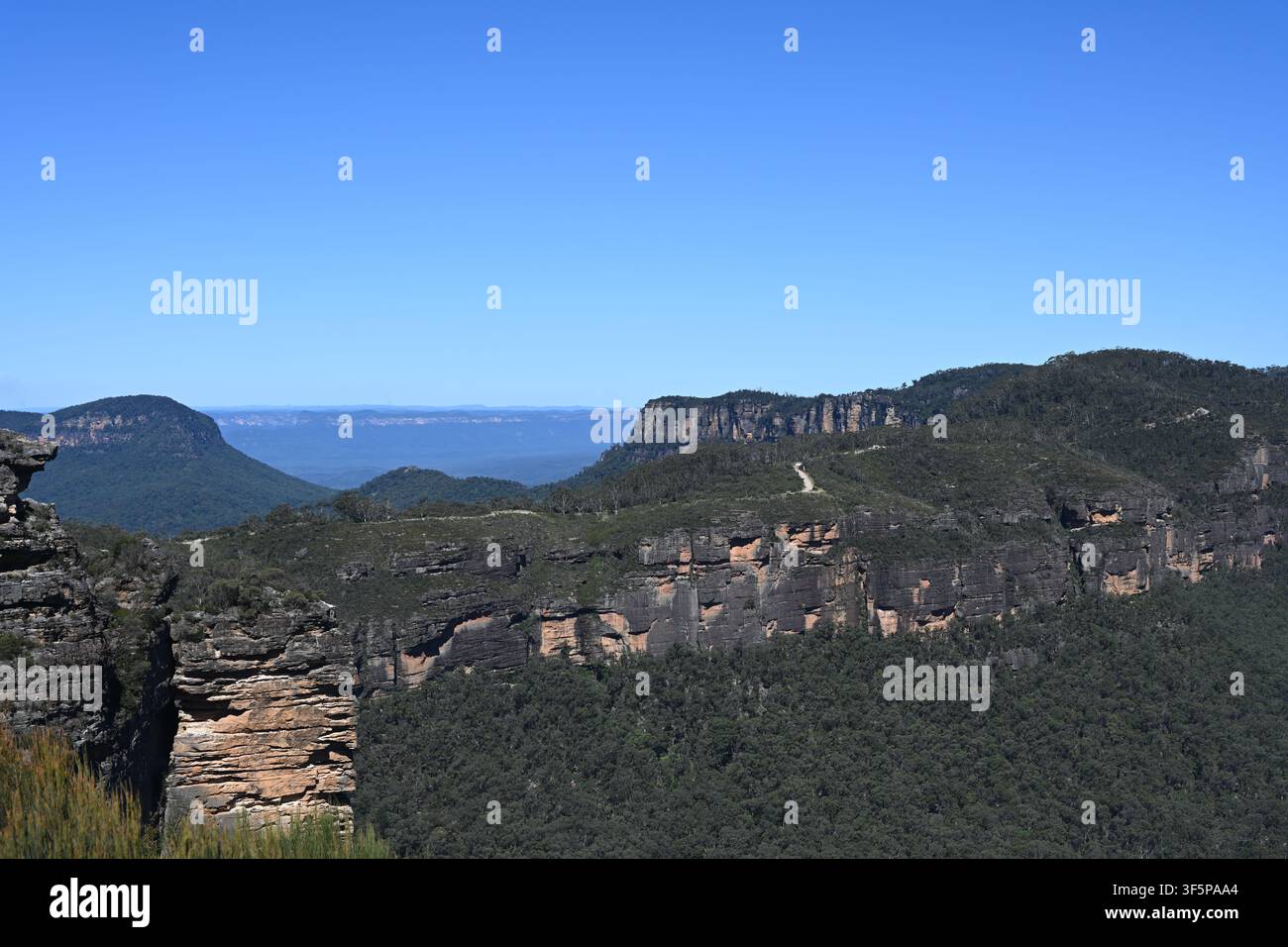 Blaue Bergketten, Australien Stockfoto
