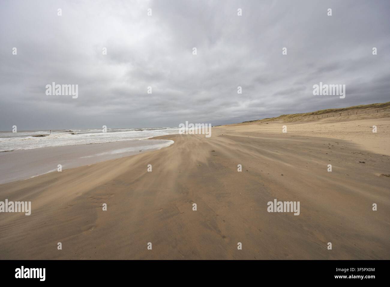 Strand in Scheveningen mit Bunkern der Atlantikwall, einem deutschen Küstenverteidigungssystem aus dem Zweiten Weltkrieg, das nun als historisches Erbe für Besucher zugänglich ist. Stockfoto
