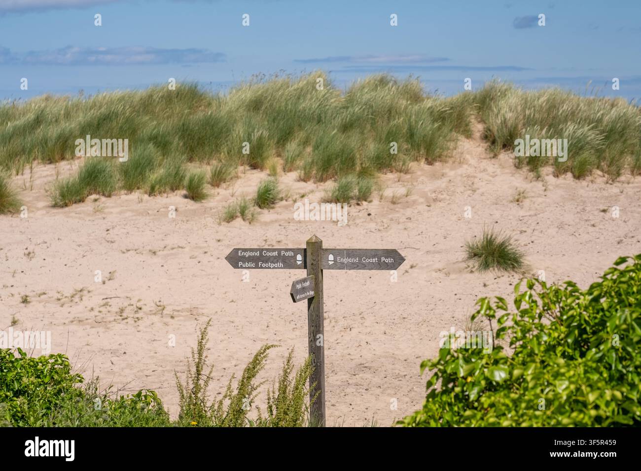 Holzschilder des England Coast Path und Wegweiser in den Bamburgh-Sanddünen, Nordostküste, der Wanderer entlang des Küstenpfades mitten in grasbewachsenen Dünen führt Stockfoto
