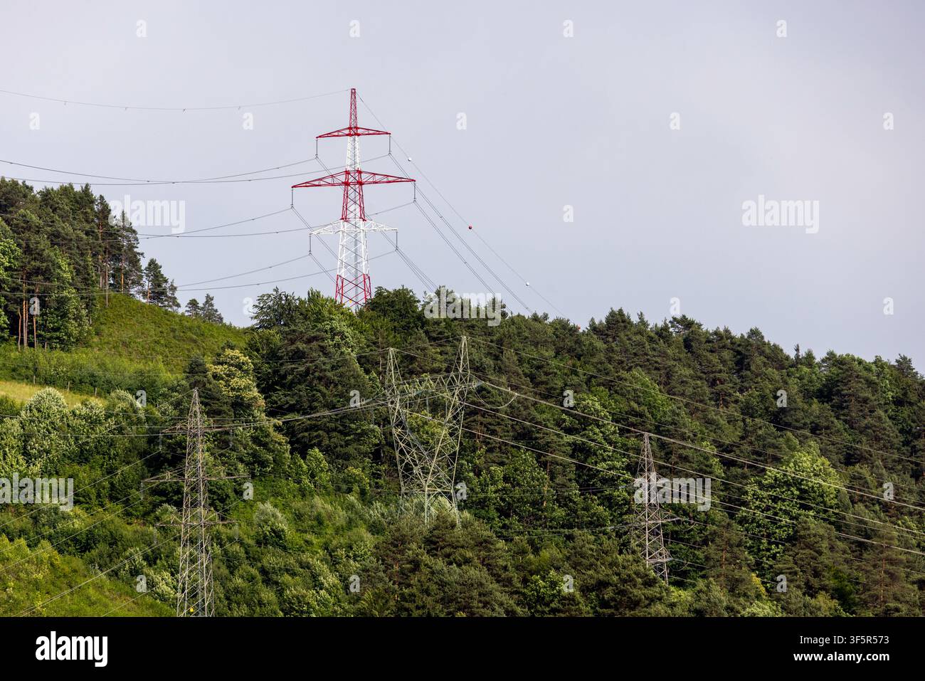 Stromleitungen und Übertragungsmasten überqueren ein natürliches Gebiet und versorgen über große Entfernungen mit Strom. Energie bewegt sich durch Drähte und Masten. Stockfoto