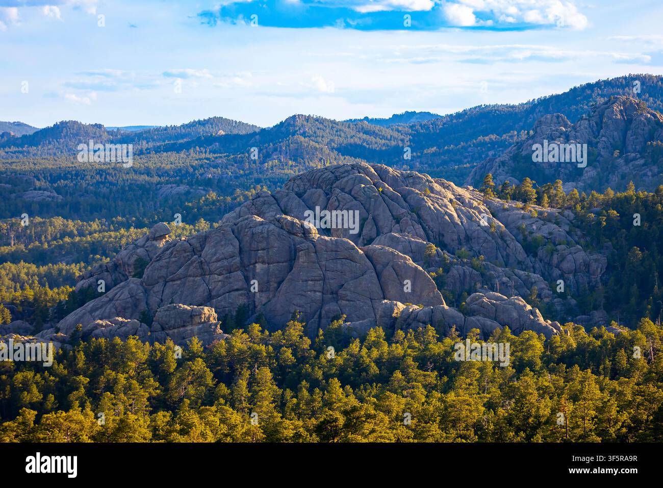 Panoramatische Landschaftsansicht vom Iron Mountain im Black Hills National Forest in South Dakota Stockfoto