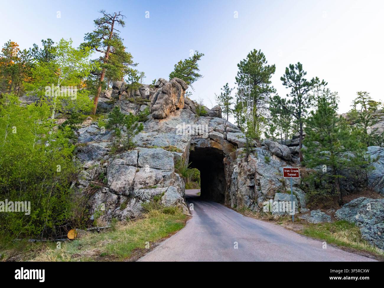 Historischer Iron Creek Tunnel, der durch Granitfelsen entlang der Iron Mountain Road im Custer State Park in South Dakota geschlagen wurde Stockfoto