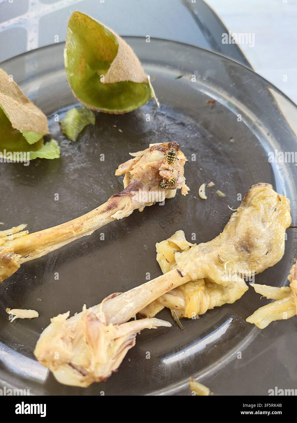 Zwei Wespen, die die Überreste eines Hühnerbeins fressen, Insekten, die an einem Teller mit Essen schlemmen Stockfoto
