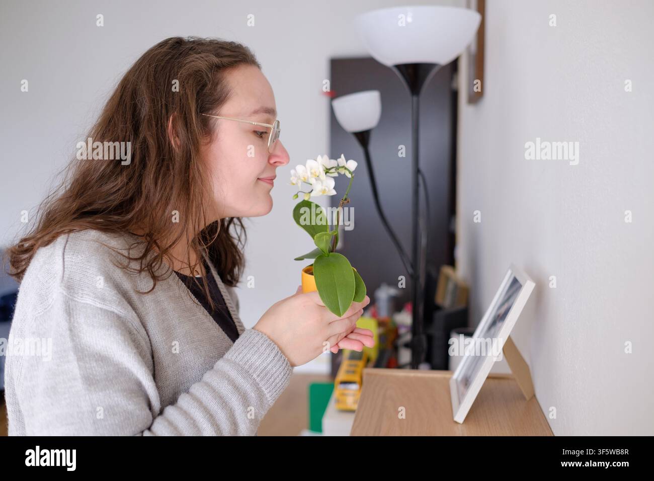 Frau hält eine Mini-Orchidee im Topf und riecht ihre zarten Blüten drinnen Stockfoto