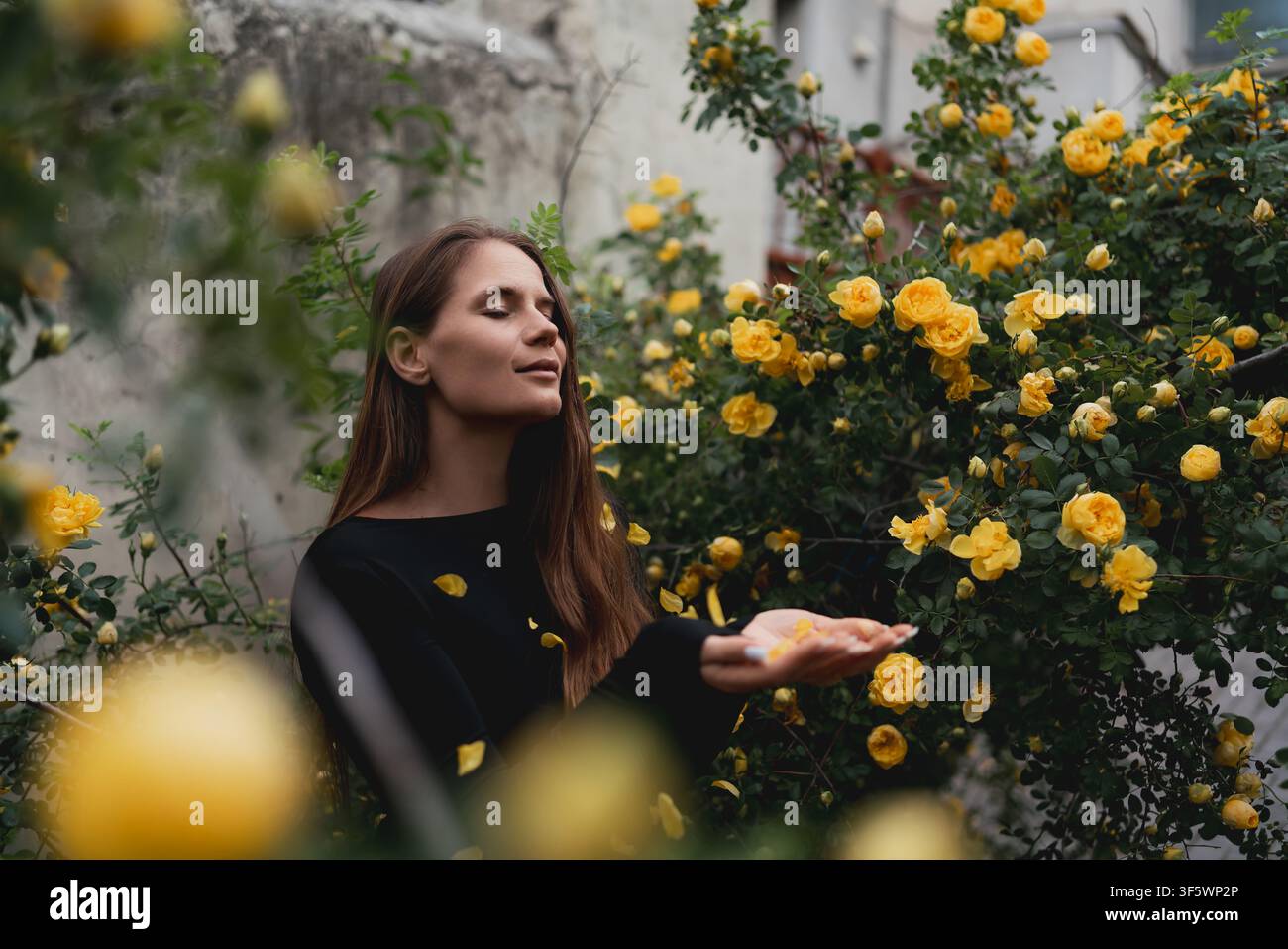 Junge Frau genießt fallende Blütenblätter von gelben Rosen, während sie in einem üppigen Sommergarten steht Stockfoto