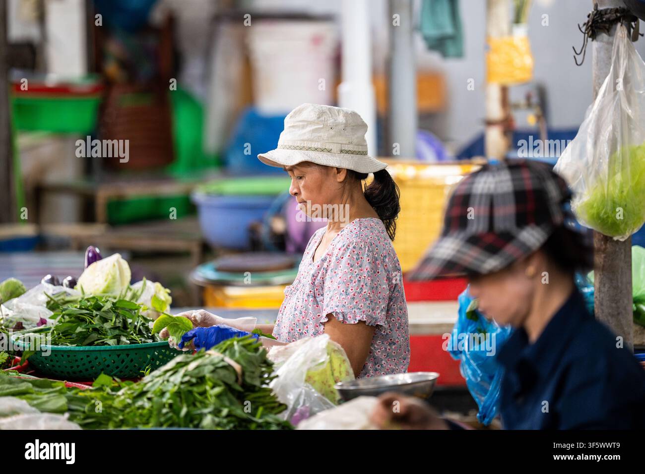 Frauenarbeiterinnen verkaufen frische Grünpflanzen und Kräuter auf dem Straßenfoodmarkt, Verkäufer an Ständen sortieren Blätter Stockfoto