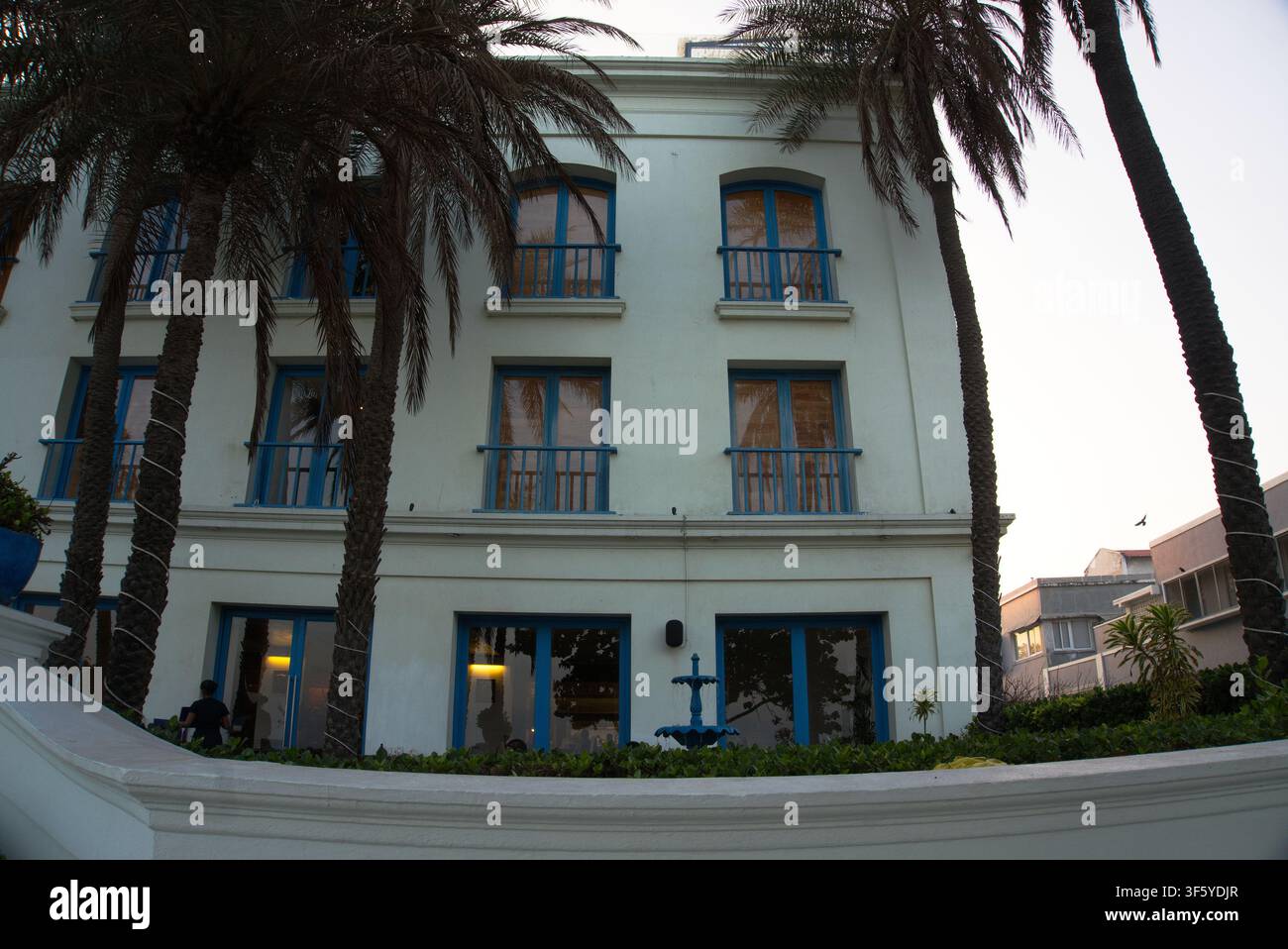 Weißes Küstengebäude mit markanten blauen Fensterläden und hohen Palmen, die entlang der Außenfassade während der Dämmerung in Puducherry stehen Stockfoto