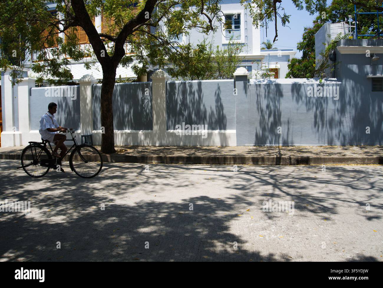 Ein Mann fährt ein traditionelles Fahrrad an grauer und weißer französischer Kolonialarchitektur vorbei, im Schatten von Bäumen im French Quarter (White Town). Stockfoto