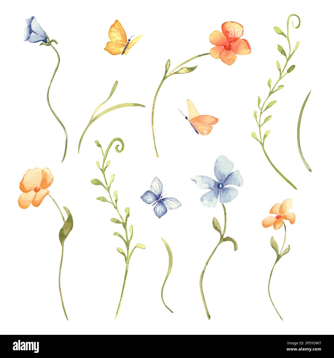 Aquarellset mit kleinen Blumen- und Schmetterlingelementen isoliert. Zarte botanische Illustrationsclipart handgezeichnet. Weiche Blumenpflanzenkollektion Stockfoto