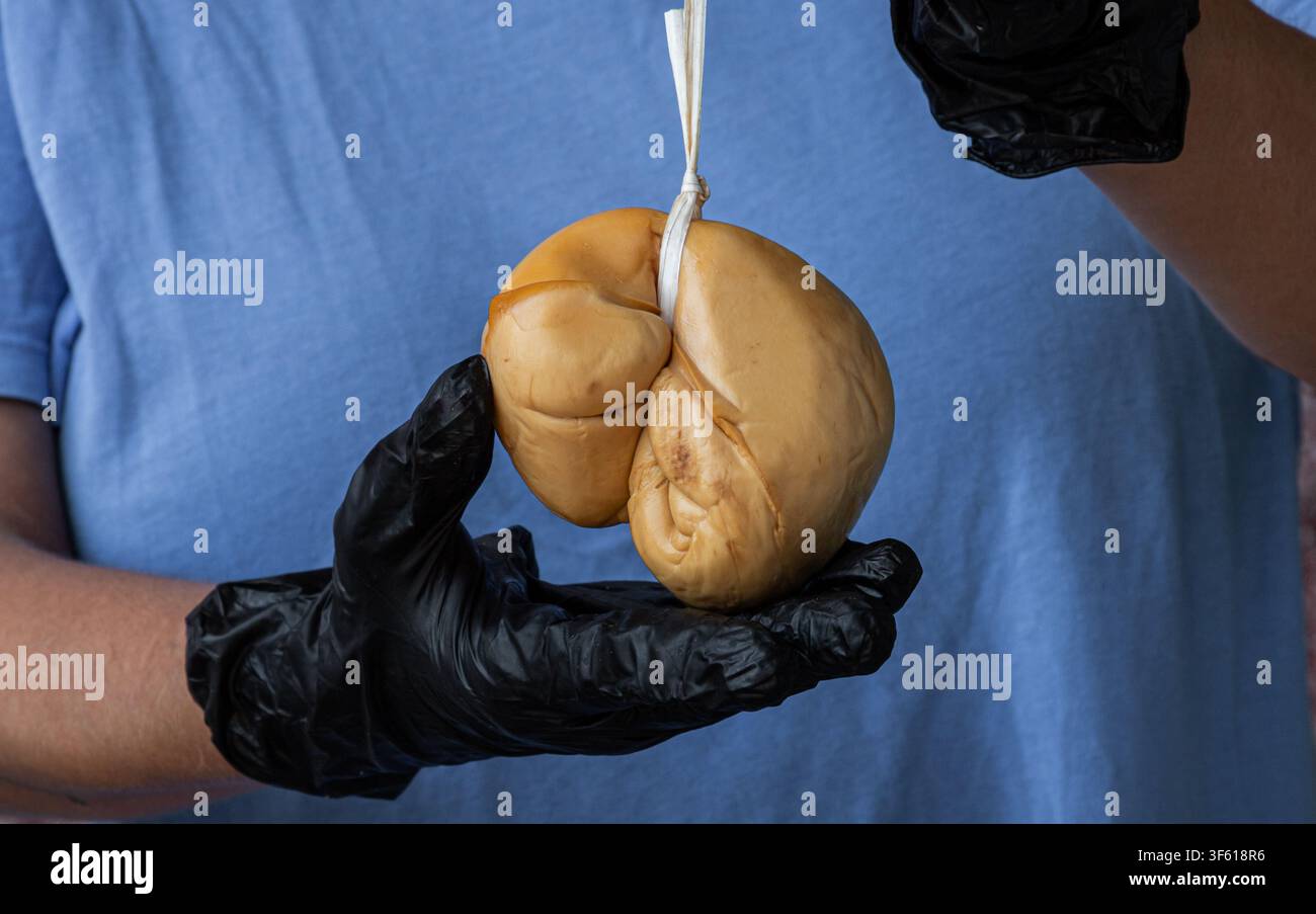 Gerauchter Scamorza-Käse, der an einer Schnur aufgehängt ist. Beliebtes neapolitanisches Gastronomieprodukt, Delikatesse, europäische Kochkunst und alte Traditionen. Stockfoto