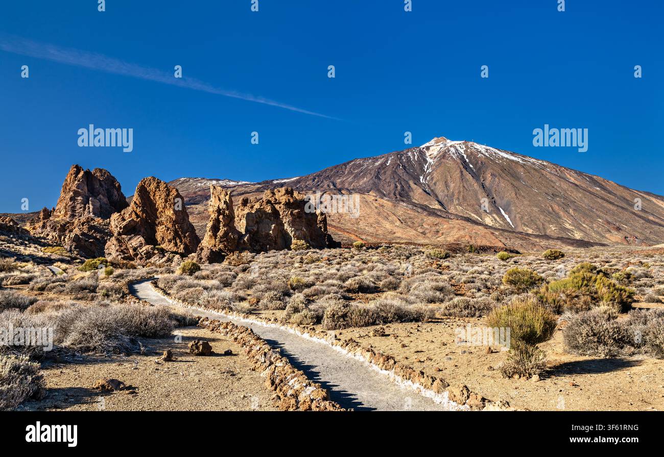 Ein malerischer Wanderweg führt zu den vulkanischen Felsformationen von Roques de Garcia und dem Mount Teide im Teide-Nationalpark, Teneriffa, Spanien. Stockfoto