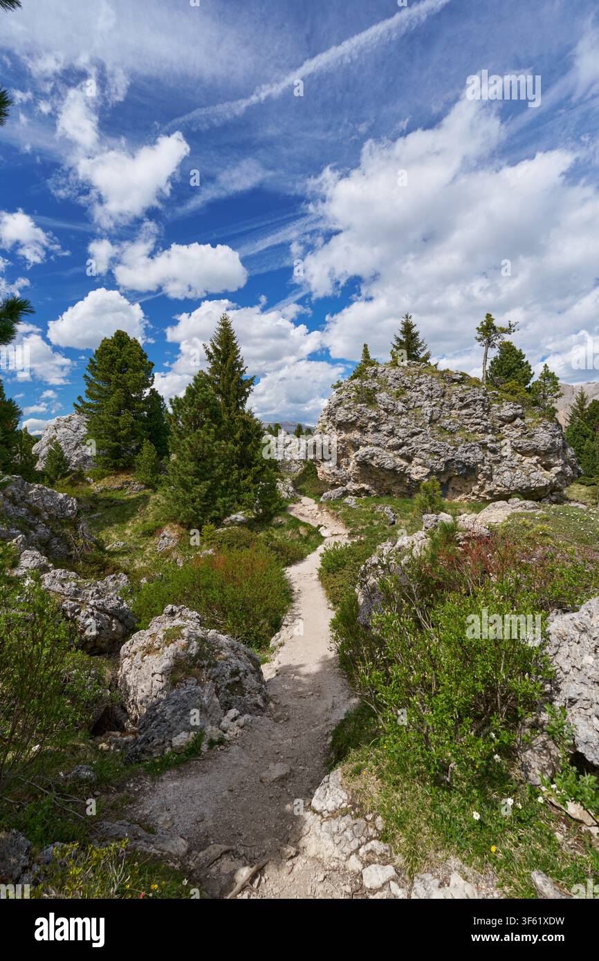 Bergwanderweg durch felsiges Gelände mit Nadelbäumen unter blauem Himmel mit weißen Wolken. Stockfoto