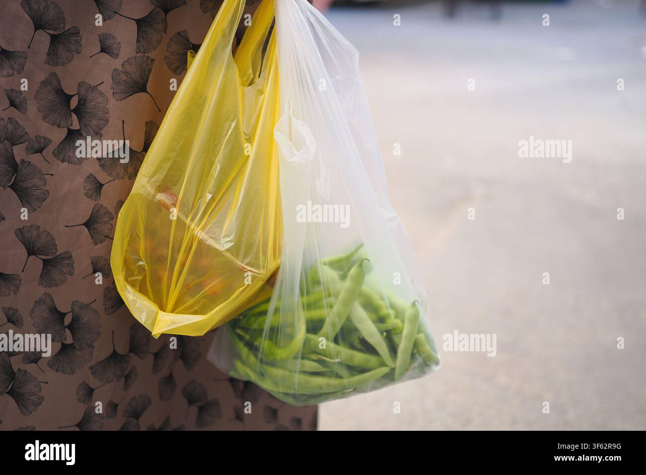 Plastiktüten mit grünen Bohnen und anderen Lebensmitteln tragen Stockfoto