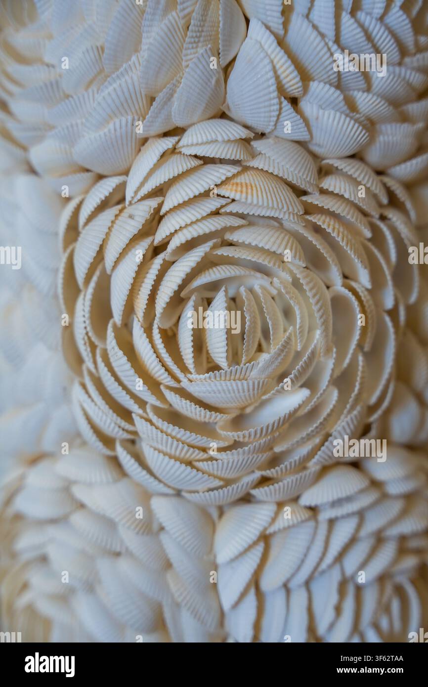 Nahaufnahme einer dekorativen weißen Muschelanordnung, die ein Blumenmuster auf einer strukturierten Wand bildet. Küsten-Innendesign, maritim inspirierte Dekoration und Stockfoto