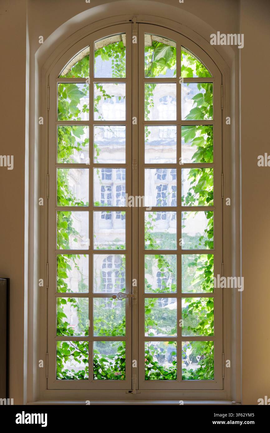 Hohes gewölbtes Fenster, eingerahmt von grüner Efeu in einer sonnenbeschienenen historischen Innenraumszene Stockfoto
