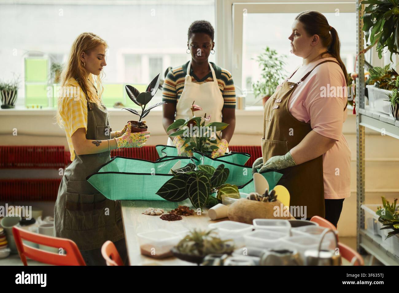 Verschiedene junge Frauen arbeiten in einer Pflanzschule und bepflanzen Zimmerpflanzen gemeinsam. Bild geeignet für Marketing von Kleinunternehmen, Kampagnen für umweltfreundlichen Lebensstil und Gartenworkshops Stockfoto