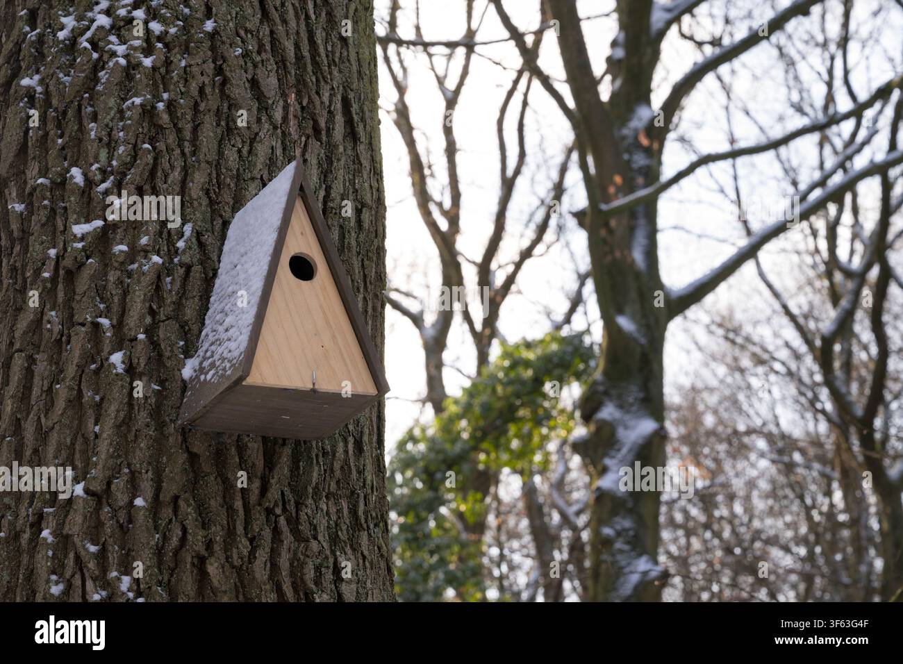 Vogelnestkasten auf einem Baumstamm Stockfoto