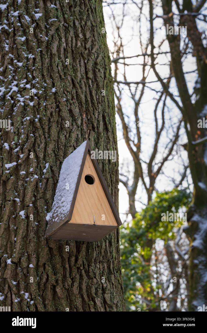 Vogelnestkasten auf einem Baumstamm Stockfoto
