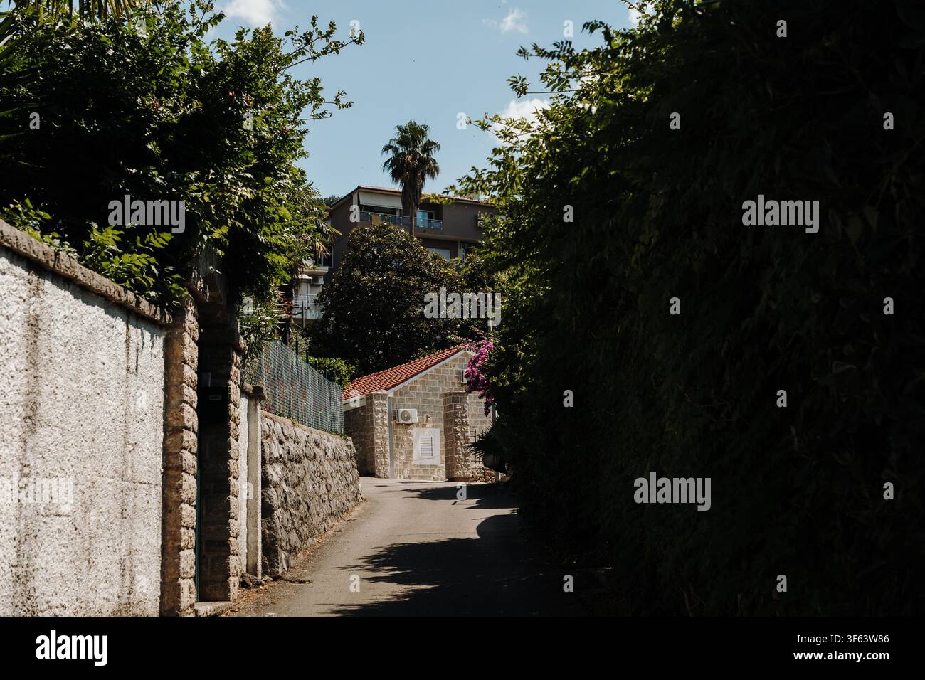 Friedliche Wohnstraße gesäumt von Steinmauern und mediterraner Vegetation in Herceg Novi, Montenegro. Charmantes Viertel an einem sonnigen Sommertag. Stockfoto