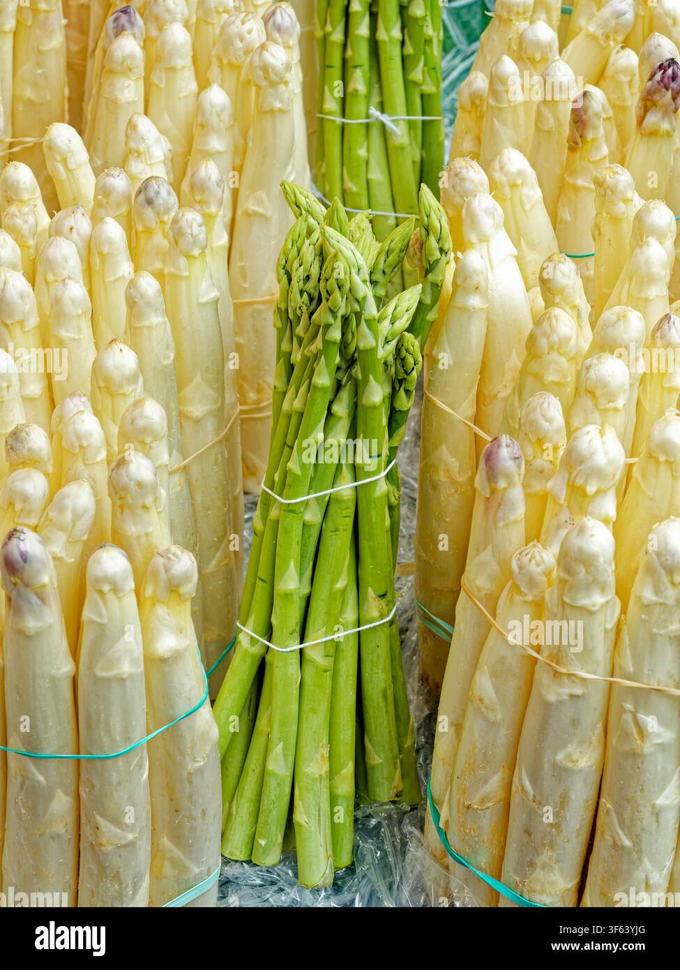 Frische Bündel von weißem und grünem Spargel auf einem traditionellen deutschen Bauernmarkt während der Spargelzeit Stockfoto
