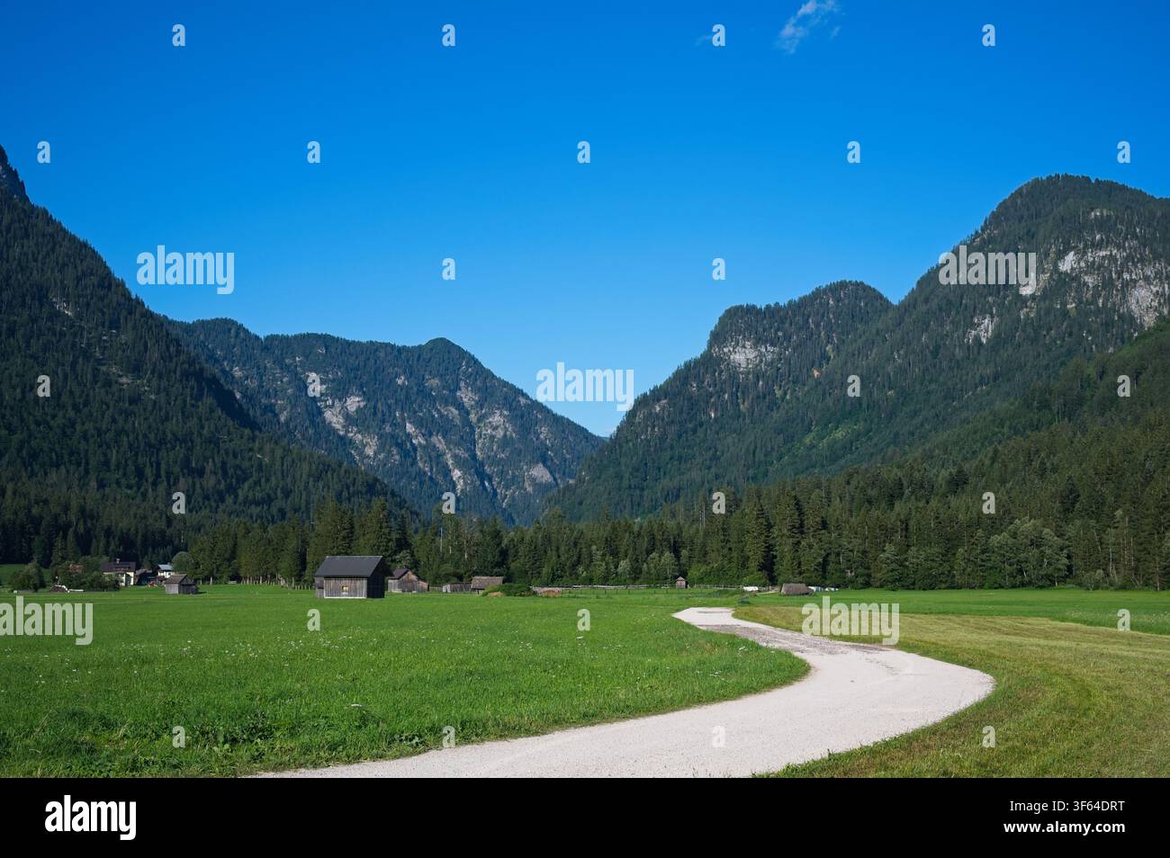 Winding gravierter Pfad, der sich durch grüne Wiese zu hölzernen Bauernhäusern und Bergen unter blauem Himmel in Gosau, Österreich schlängelt Stockfoto