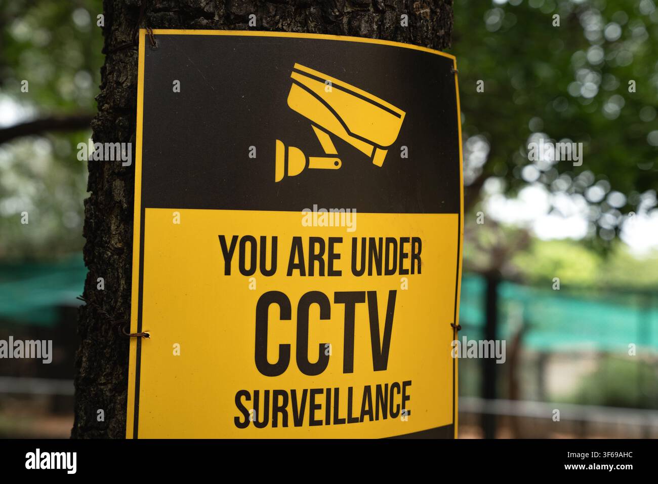 Ein gelber CCTV-Überwachungs-Hinweis, der an einem Baum befestigt ist, warnt Besucher, dass in einem öffentlichen Park eine Videoüberwachung aktiv ist. Stockfoto