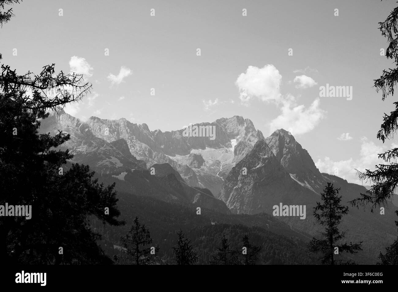 Schwarz-Weiß-Panorama von dramatischen Alpen Gipfeln, die in Wolken gehüllt sind, mit Kiefern im Vordergrund Stockfoto