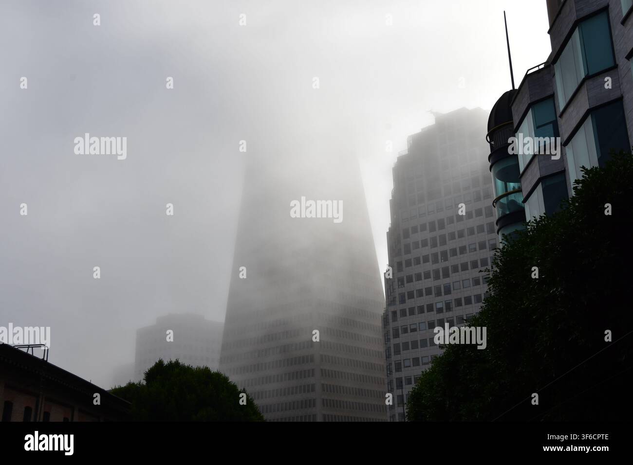 Hochhäuser in der Innenstadt verschwinden in dichtem Nebel in San Francisco, Kalifornien Stockfoto