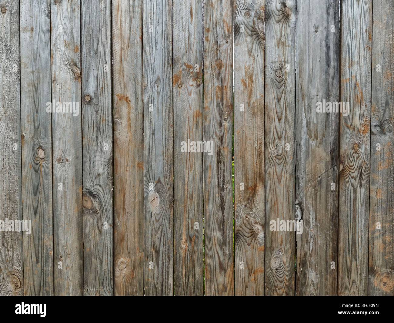 Zäunpaneele aus Holz stehen aufrecht vor einem neutralen Hintergrund und zeigen natürliche Texturen und raue Oberflächen überall. Stockfoto