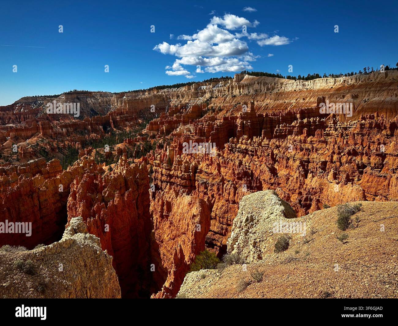 Weitläufiger Hoodoo-Blick vom Rand (Bryce Canyon Nationalpark, Utah, USA) Stockfoto