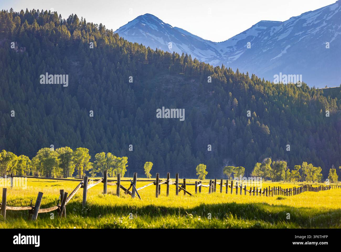 Ein rustikaler Holzzaun säumt eine goldene Wiese unter bewaldeten Bergen mit schneebedeckten Gipfeln im Hintergrund Stockfoto